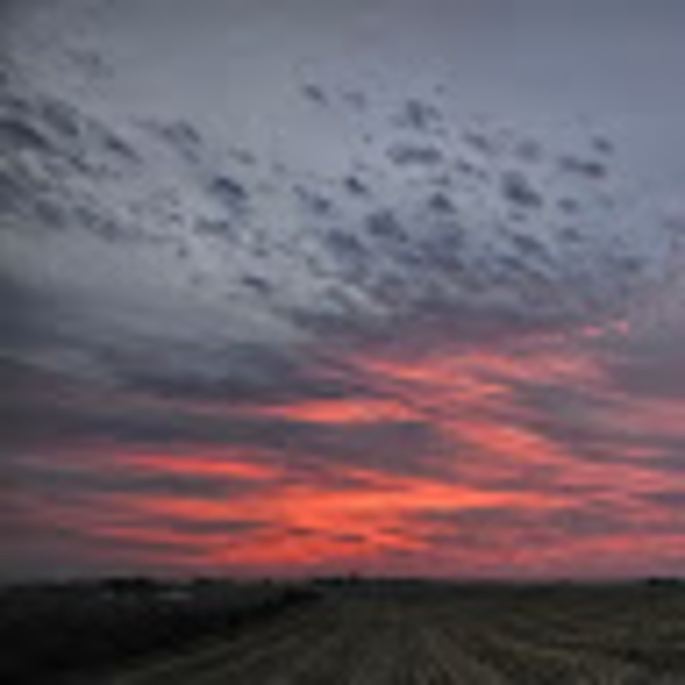 Meet your Posher, Maya